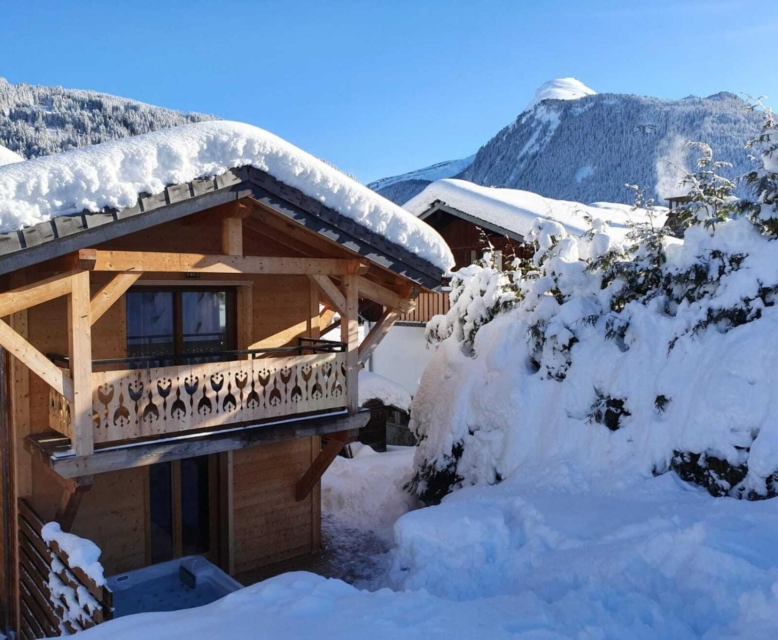 Chalet Delphinette Morzine Exterior foto